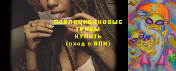 2c-b Михайлов