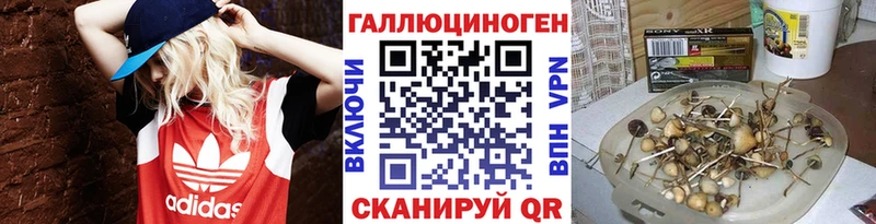 где купить   Баксан  Галлюциногенные грибы прущие грибы 