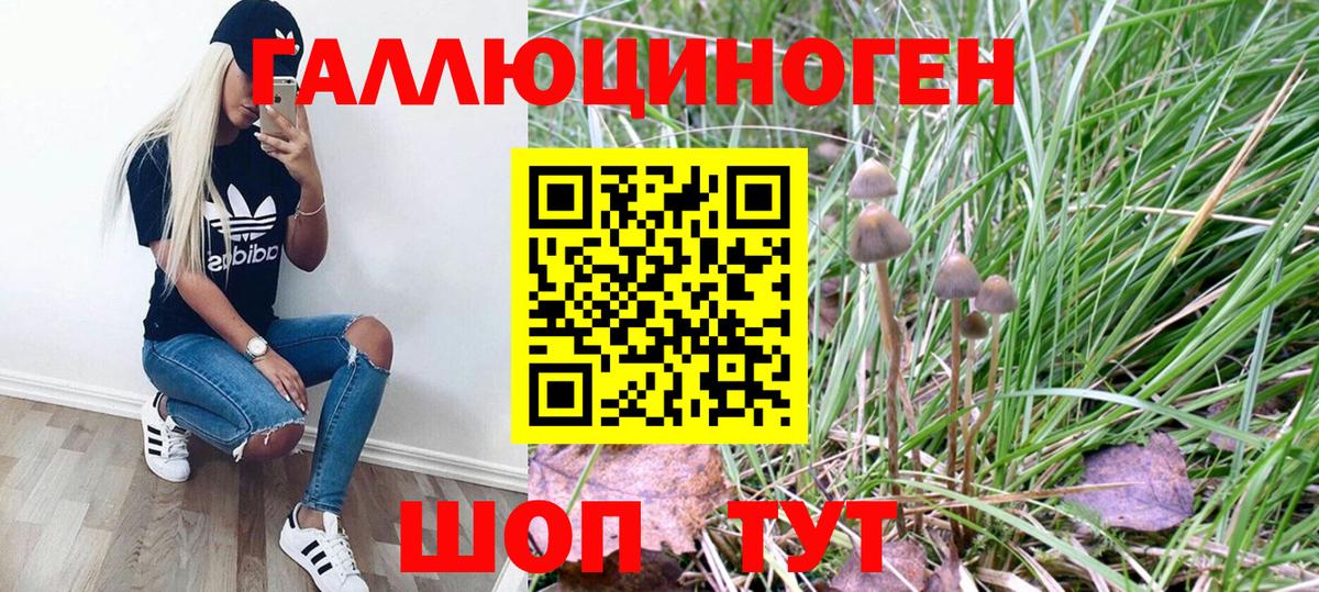 Галлюциногенные грибы MAGIC MUSHROOMS Баксан