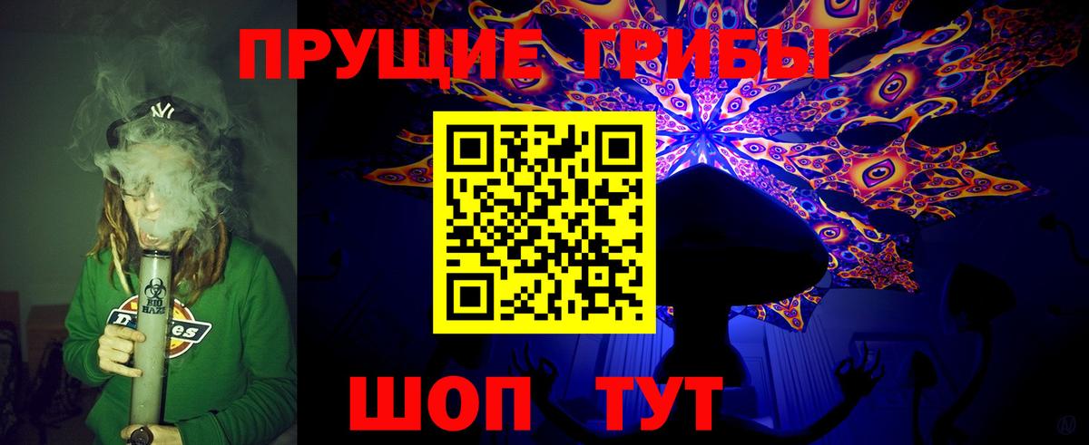 Галлюциногенные грибы ЛСД  Галлюциногенные грибы Psilocybine cubensis  Баксан 