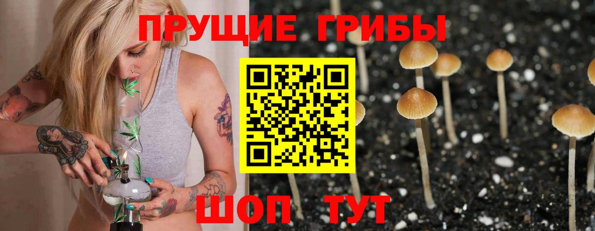 Галлюциногенные грибы GOLDEN TEACHER  цены наркотик  Баксан  Вход с VPN 